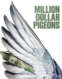 Million Dollar Pigeons
