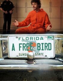 A Free Bird