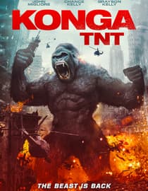 Konga Tnt
