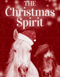 The Christmas Spirit