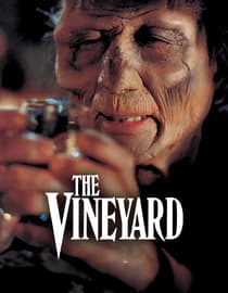 The Vineyard