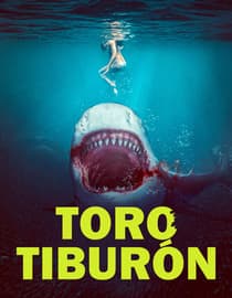 Toro tiburón