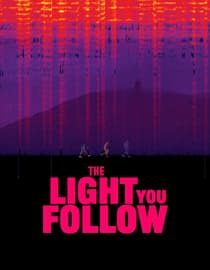 The Light You Follow