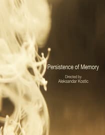 Persistence of Memory