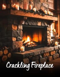 Fireplace For Your Home: Classic Crackling Fireplace