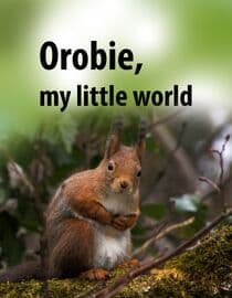 Orobie, My Little World