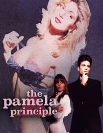 The Pamela Principle