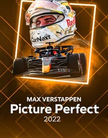 Max Verstappen Picture Perfect