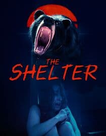 The Shelter