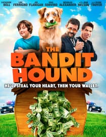 The Bandit Hound