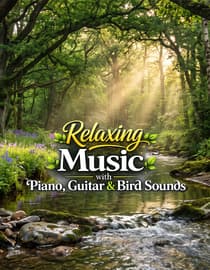 Relaxing Music with Piano, Guitar & Bird Sounds with Sunny Morning in the forest for Relaxation
