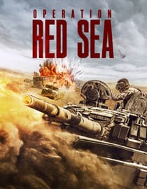 Operation Red Sea