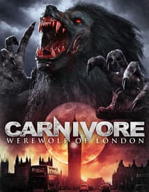Carnivore