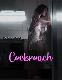 Cockroach