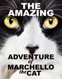 The Amazing Adventures of Marchello the Cat
