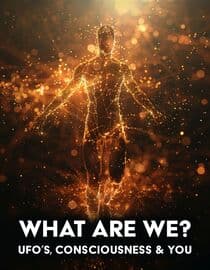 What Are We: UFOs, Consciousness & You