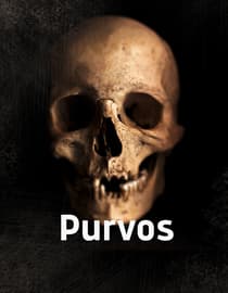 Purvos