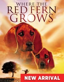 Where The Red Fern Grows