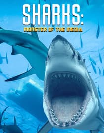 Sharks - Monster of the Media