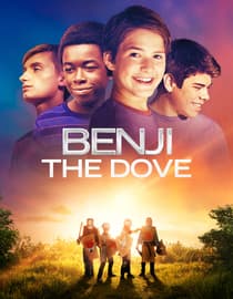 Benji the Dove