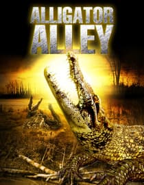 Alligator Alley