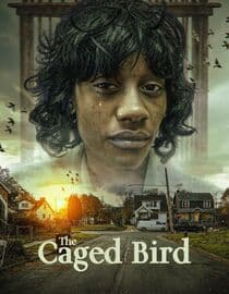 The Caged Bird