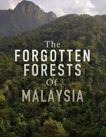 The Forgotten Forests of Malaysia