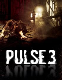Pulse 3