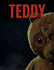 Teddy