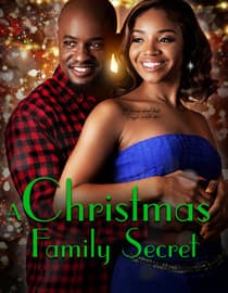A Christmas Family Secret