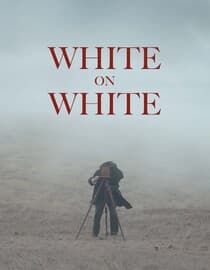 White on White (Blanco en Blonco)