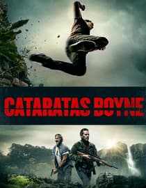 Cataratas Boyne