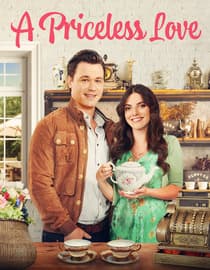 A Priceless Love