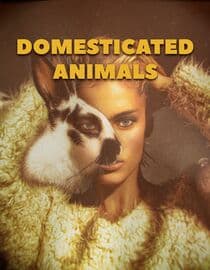Domesticated Animals