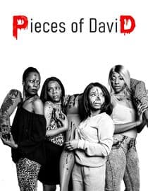 Pieces of David