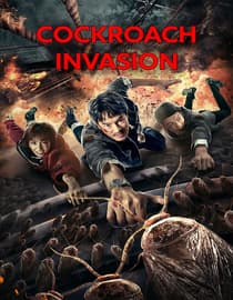 Cockroach Invasion