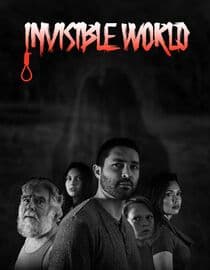 Invisible World
