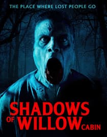 Shadows of Willow Cabin