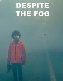 Despite The Fog (Nonostante la nebbia)