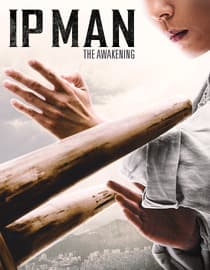 IP Man: The Awakening