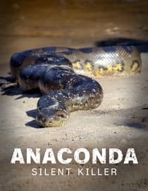 Anaconda - Silent Killer