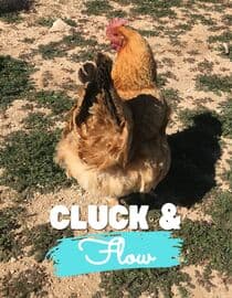 Cluck & Flow