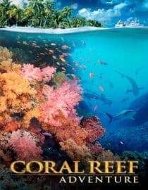 Coral Reef Adventure