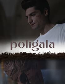 Poligala