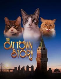 The Cat Town Story