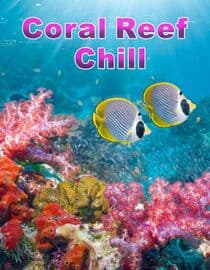 Coral Reef Chill