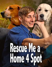 Rescue Me: A Home 4 Spot
