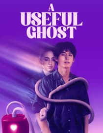 A Useful Ghost
