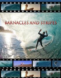 Barnacles and Stripes