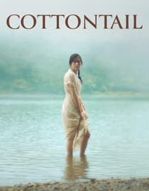 Cottontail